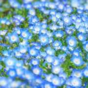 ヒメ日記 2026/04/19 22:55 投稿 はな 人妻小旅行