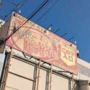 ヒメ日記 2026/04/04 08:10 投稿 蜂蜜(はにぃ) 横浜ハッピーマットパラダイス