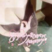 ヒメ日記 2026/09/06 23:55 投稿 まつり OL倶楽部　山口店