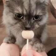 ヒメ日記 2025/02/25 15:53 投稿 のぞみ 秋葉原 添い寝女子