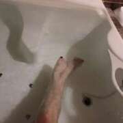 ヒメ日記 2024/12/14 19:05 投稿 のあ★ 隣りの奥さん 日本橋店