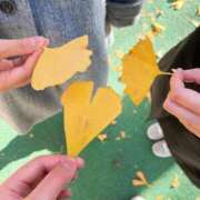 ヒメ日記 2024/12/14 16:09 投稿 ここあ 新宿プチドール