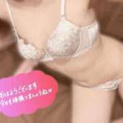 ヒメ日記 2025/02/24 07:29 投稿 ここあ 新宿プチドール