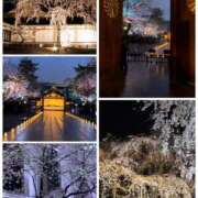 ヒメ日記 2025/04/02 23:30 投稿 わかな 奥鉄オクテツ神奈川店（デリヘル市場グループ）