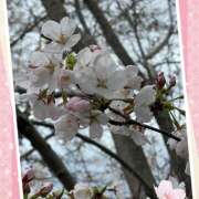 ヒメ日記 2025/04/05 12:16 投稿 みちる 成田人妻講座