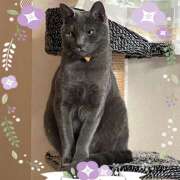 ヒメ日記 2025/11/02 11:37 投稿 みちる 成田人妻講座