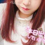 ヒメ日記 2026/05/14 10:30 投稿 みはね 丸妻 新横浜店