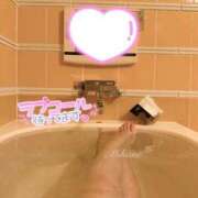 みはね 出勤予定💓 丸妻 新横浜店