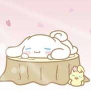 ヒメ日記 2025/03/31 22:16 投稿 ひな Number Five 品川（シンデレラグループ）