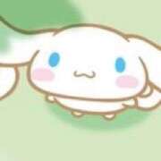 ヒメ日記 2025/05/08 23:19 投稿 ひな Number Five 品川（シンデレラグループ）