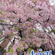 ヒメ日記 2025/03/13 13:10 投稿 有栖 熟女の風俗最終章　鶯谷店