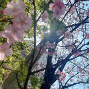 有栖 今日は....♡ 熟女の風俗最終章　鶯谷店