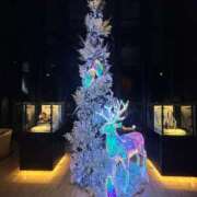 ヒメ日記 2024/12/24 20:36 投稿 有栖らいら 奴隷志願！変態調教飼育クラブ梅田店