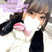 ヒメ日記 2024/12/27 14:42 投稿 有栖らいら 奴隷志願！変態調教飼育クラブ梅田店