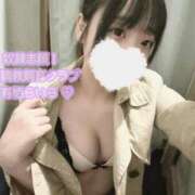 ヒメ日記 2025/02/05 01:45 投稿 有栖らいら 奴隷志願！変態調教飼育クラブ梅田店