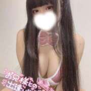 ヒメ日記 2024/12/14 12:19 投稿 収容番号：88番 非自由人躾専門店 淫姦収容所 日本橋本拠地