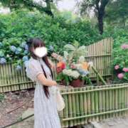 ヒメ日記 2025/06/23 07:59 投稿 収容番号：88番 非自由人躾専門店 淫姦収容所 日本橋本拠地