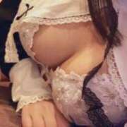 ヒメ日記 2025/07/19 13:39 投稿 収容番号：88番 非自由人躾専門店 淫姦収容所 日本橋本拠地