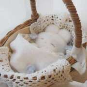 ヒメ日記 2025/08/02 14:49 投稿 収容番号：88番 非自由人躾専門店 淫姦収容所 日本橋本拠地