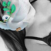 ヒメ日記 2025/12/04 09:08 投稿 【らら】業界未経験の美形美女 おねだり宮崎