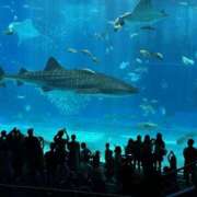 姫野 無事に、、、✨ モアグループ所沢人妻城