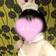 ヒメ日記 2025/11/04 17:15 投稿 かんな 奥様なでしこ