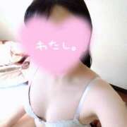 ヒメ日記 2025/12/12 16:53 投稿 かんな 奥様なでしこ