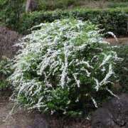 ヒメ日記 2025/04/11 09:13 投稿 るな 快楽夫人