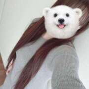 ヒメ日記 2025/04/18 23:23 投稿 るな 快楽夫人