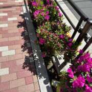 ヒメ日記 2025/04/29 11:19 投稿 るな 快楽夫人