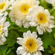 ヒメ日記 2025/06/01 08:21 投稿 るな 快楽夫人