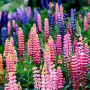 ヒメ日記 2025/06/02 00:15 投稿 るな 快楽夫人