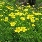 ヒメ日記 2025/06/04 11:23 投稿 るな 快楽夫人