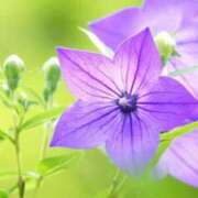 ヒメ日記 2025/06/04 21:50 投稿 るな 快楽夫人