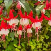 ヒメ日記 2025/06/06 07:43 投稿 るな 快楽夫人