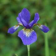 ヒメ日記 2025/06/09 23:40 投稿 るな 快楽夫人