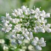 ヒメ日記 2025/06/14 15:41 投稿 るな 快楽夫人