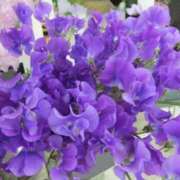 ヒメ日記 2025/06/25 10:45 投稿 るな 快楽夫人