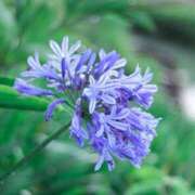 ヒメ日記 2025/06/30 00:00 投稿 るな 快楽夫人