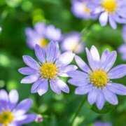 ヒメ日記 2025/07/08 00:02 投稿 るな 快楽夫人