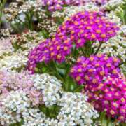 ヒメ日記 2025/07/14 20:03 投稿 るな 快楽夫人