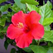 ヒメ日記 2025/07/15 00:00 投稿 るな 快楽夫人