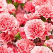 ヒメ日記 2025/07/16 01:16 投稿 るな 快楽夫人