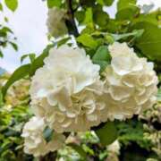 ヒメ日記 2025/07/28 06:00 投稿 るな 快楽夫人