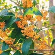 ヒメ日記 2025/08/23 08:36 投稿 るな 快楽夫人