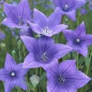 ヒメ日記 2025/08/29 08:20 投稿 るな 快楽夫人