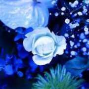 ヒメ日記 2025/09/01 05:50 投稿 るな 快楽夫人