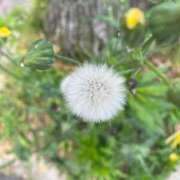 ヒメ日記 2025/10/25 06:45 投稿 るな 快楽夫人