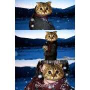 ヒメ日記 2025/11/22 15:33 投稿 るな 快楽夫人