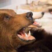 ヒメ日記 2025/11/25 22:15 投稿 るな 快楽夫人